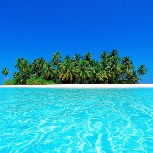 Meet your Posher, Vivian